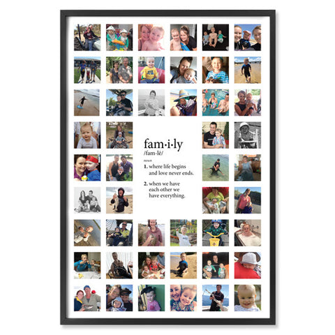 Alma 48 FAMILY DEFINITION