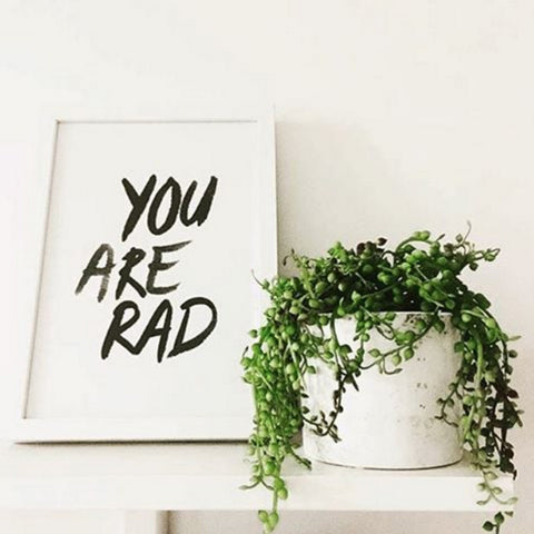 You Are Rad