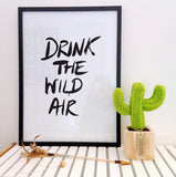 Drink The Wild Air
