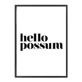 Hello Possum